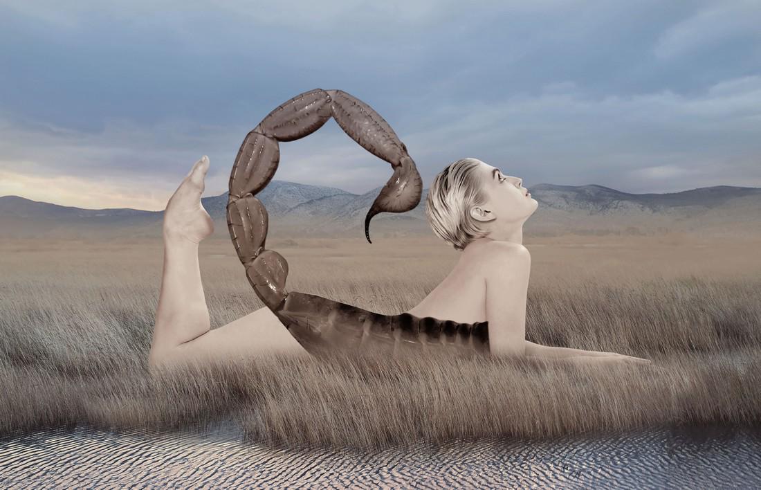 Photographic Collage Tan Tolga Demirci: Photographic Collage Tan Tolga Demirci Tan Tolga Demirci Paper 15 X 23.2 2017 Signed Bottom Left Please note that this lot has a confidential reserve. When you leave a bid in advance of the auction, s