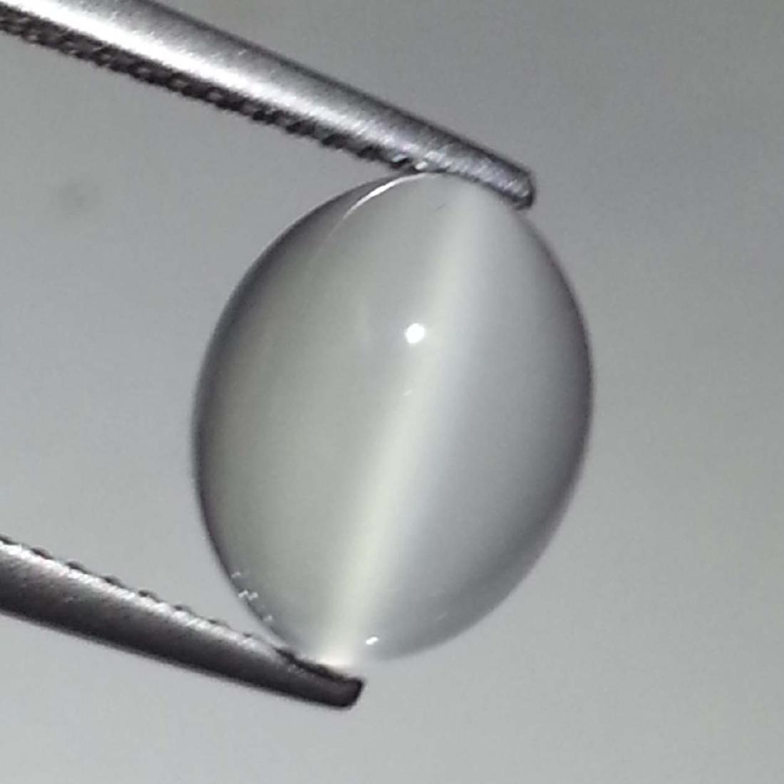 Natural Moonstone Cat's Eye- 5.85 ct: Item: Natural Moonstone Cat's Eye- 5.85 ct Color/Clarity: VVS Loose gemstone Carat Weights: 5.85 Size (mm): 11.80 x 8.70 x 7.80 Oval - Srilanka No Reserve: This lot starts at $1 and has no reserve as