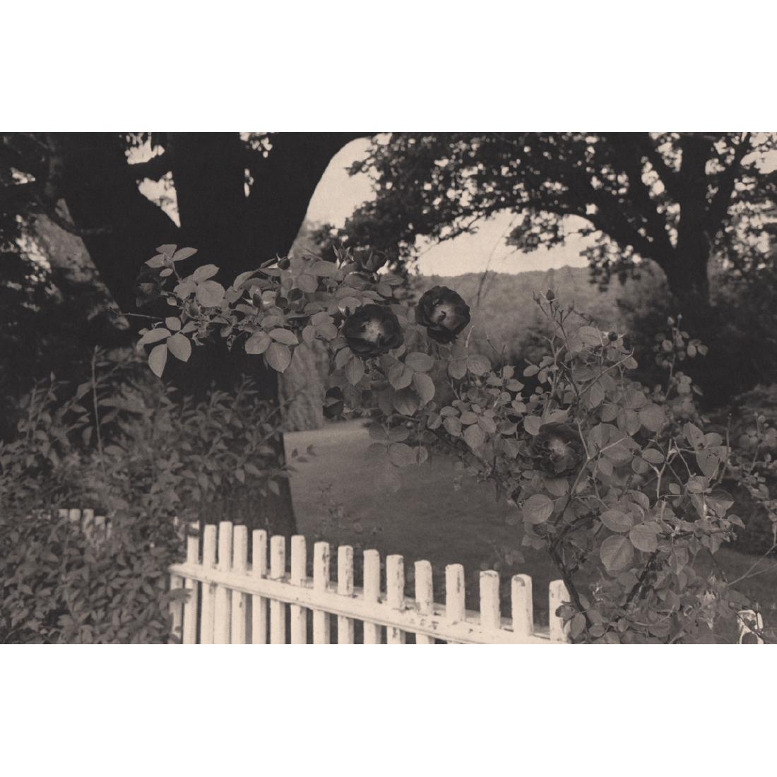 LEE FRIEDLANDER - Pomona, NY 1977: Artist: LEE FRIEDLANDER Print Title: Pomona, NY 1977 Medium: Photo-engraving on heavy matte art paper Printing Date: 1980's Printed in the USA Image Size: 11 X 7.5 inches Lee Friedlander (born July 14