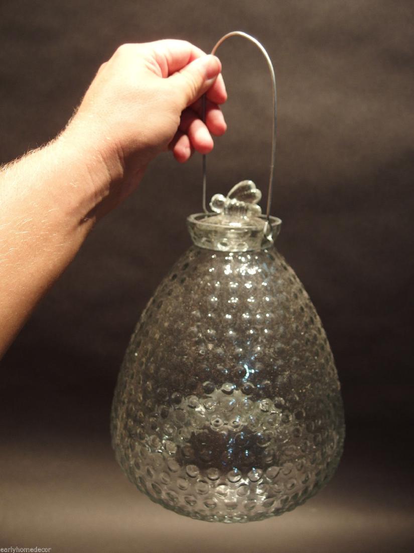 Hobnail Glass Fly Wasp Bee Hive Bottle Trap (1 of 8)