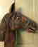 Carved Wooden Horse Head w/ Original Surface, c. 1900 - 4
