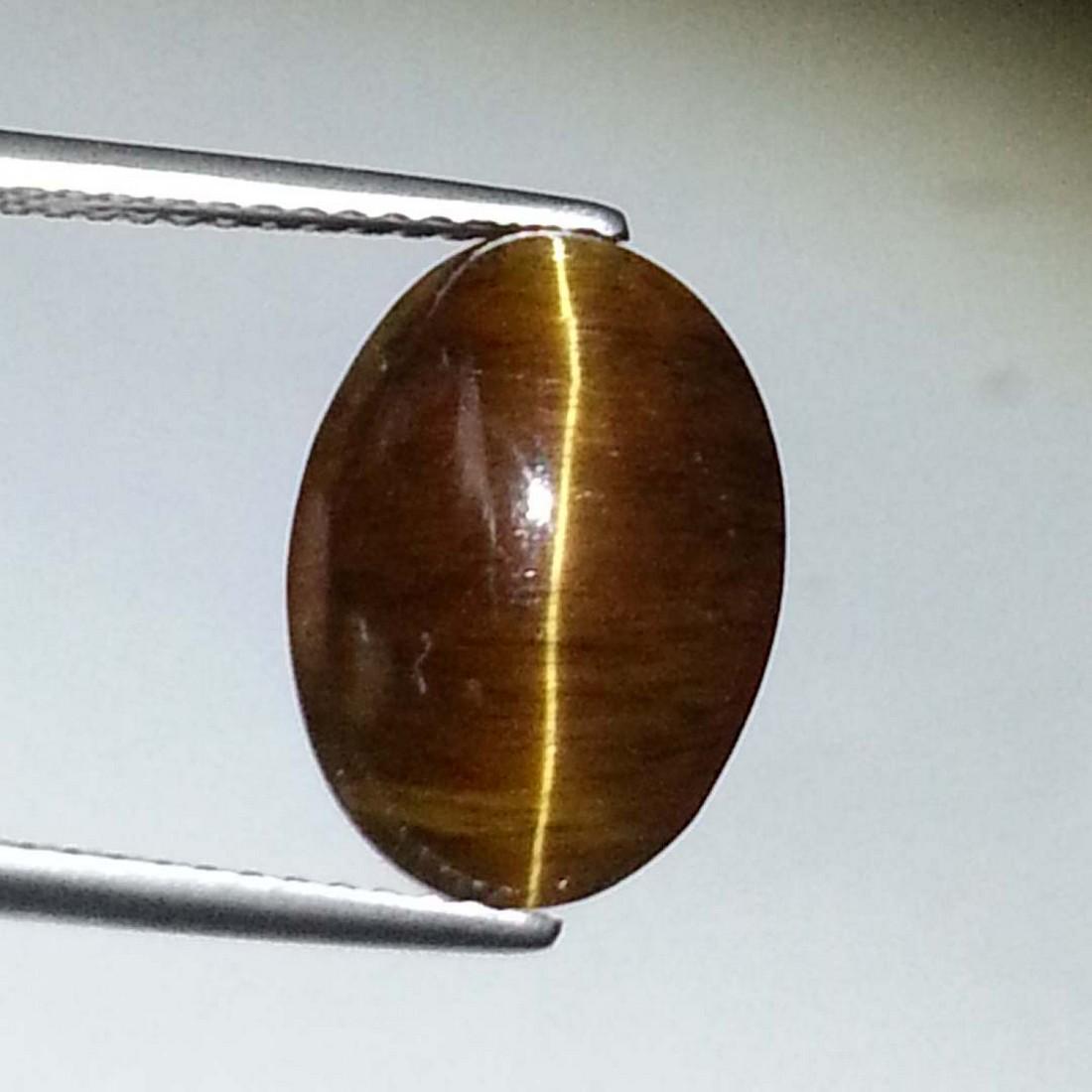 Top Grade Glowing Honey Natural Apatite cat's Eye -: Item: Top Grade Glowing Honey Natural Apatite cat's Eye - 7.90 ct Color/Clarity: Opaque Loose gemstone: Carat Weight: 7.9 Size (mm): 13.40 x 9.90 x 6.00 Oval - Africa No Reserve: This lot starts at $1