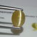 IGI CERTIFIED Opal Cat's Eye - 2.91 ct
