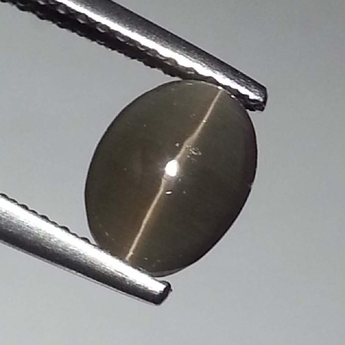 Top Grade Natural Sillimanite Cat's Eye - 1.76 ct (1 of 4)