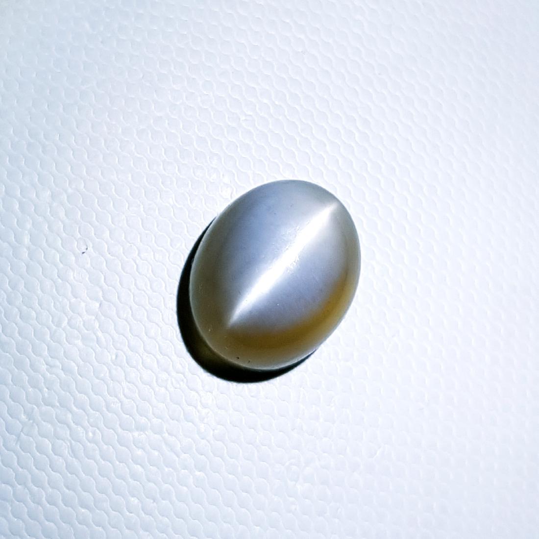 Grey Moonstone Cat's Eye - 9.95 ct: Item: Grey Moonstone Cat's Eye - 9.95 ct Color/Clarity: VVS Loose gemstone Carat Weight: 9.95 Size (mm): 14.20 x 11.90 x 7.90 Oval - India No Reserve: This lot starts at $1 and has no reserve as a cou