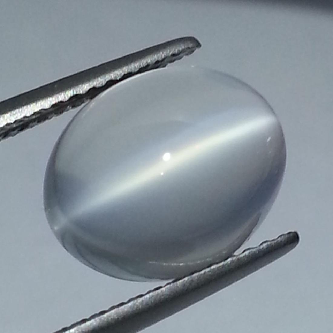 Cat's Eye Moonstone - 4.33 Ct (1 of 4)
