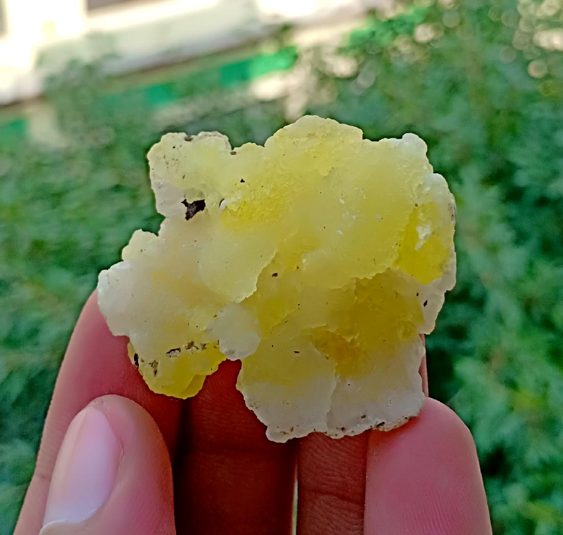 16 Gram Natural Brucite Specimen (1 of 3)