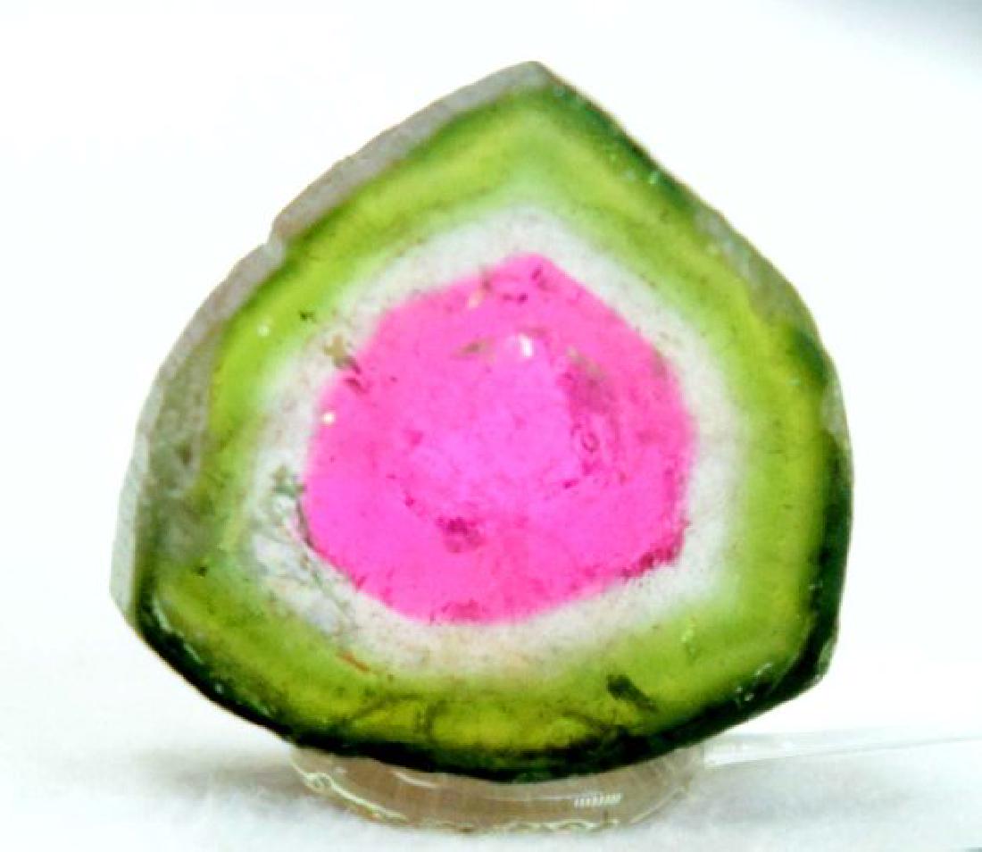 3.45 ct complete and undamage watermelon tourmaline (1 of 5)