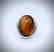 Sterling Silver Sz 7 Tiger's Eye Ring