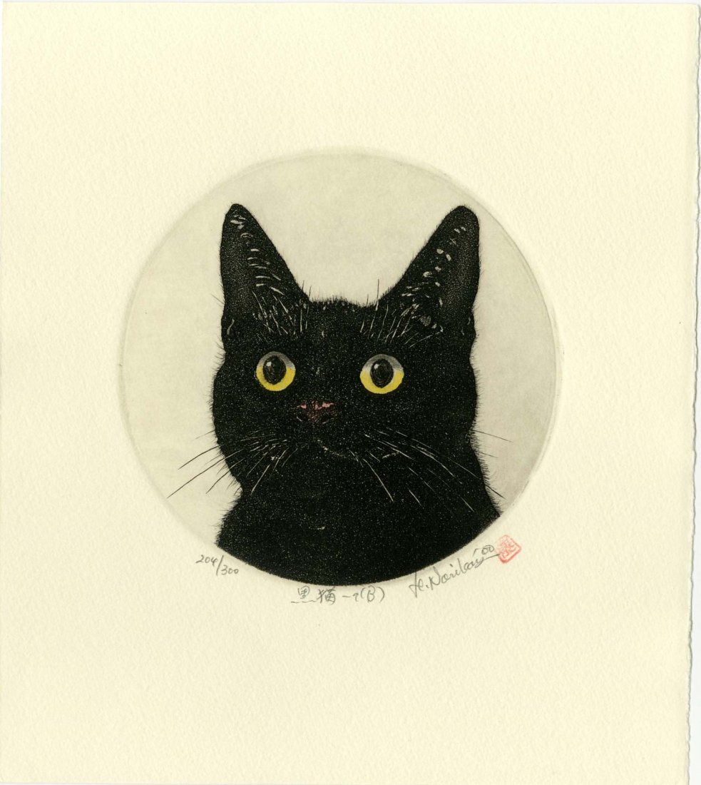 Norikane Hiroto First Edition Mezzotint Bright Eyes (1 of 2)