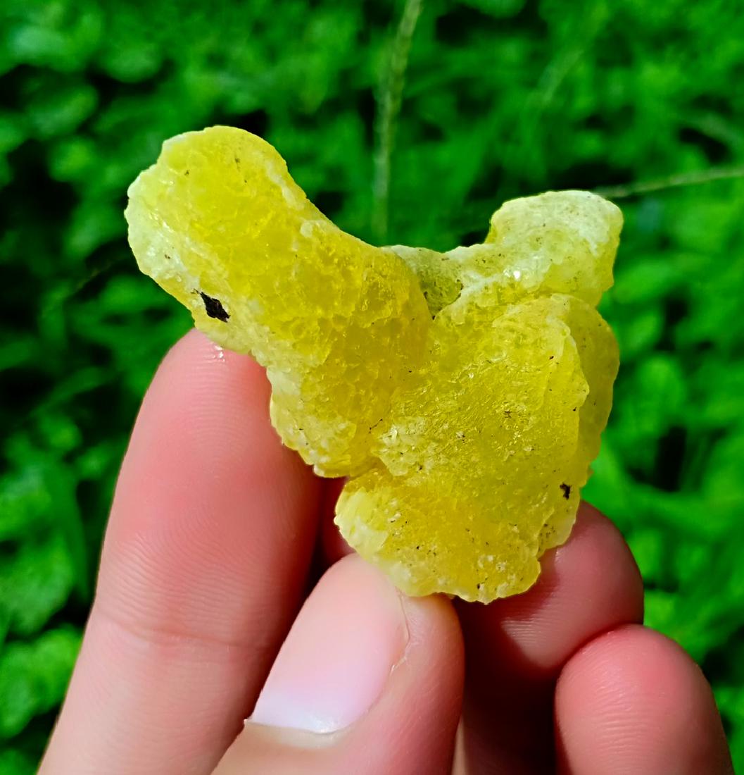 14 Gram Brucite Specimen (1 of 3)