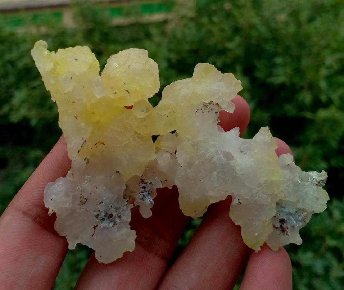 37 Gram Brucite Specimen (1 of 3)