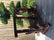 Very beautiful original Japanese Samurai Swords rack. - 4