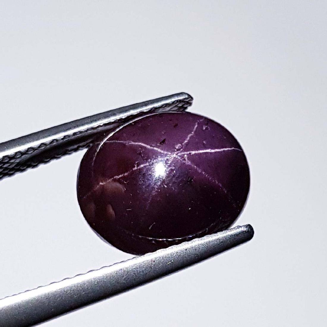 Top Grade Six Ray Star Garnet - 12.51 ct (1 of 4)