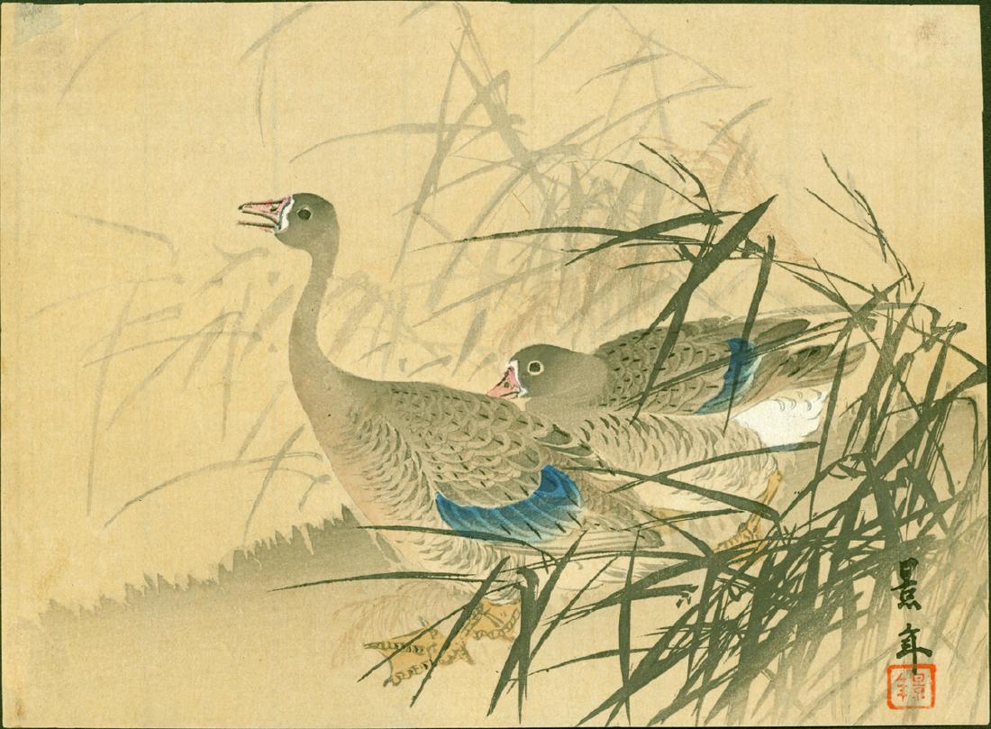 Imao Keinen – Two Geese in Reeds.: Title: Imao Keinen – Two Geese in Reeds. Artist: Imao Keinen Title: Two Geese in Reeds Size: 9.25 x 6.75 inches. Date: 1890s. Signed and sealed by the artist. Medium: Japanese woodblock print. Condi