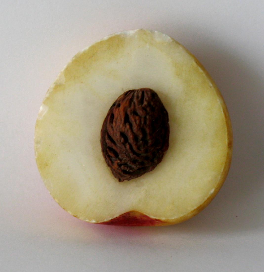 Rare 1/2 Slice of Vintage Stone Peach (1 of 1)