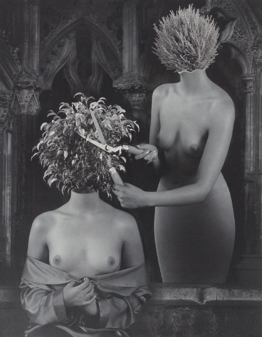 Trim DOMINIC ROUSE (1 of 9)