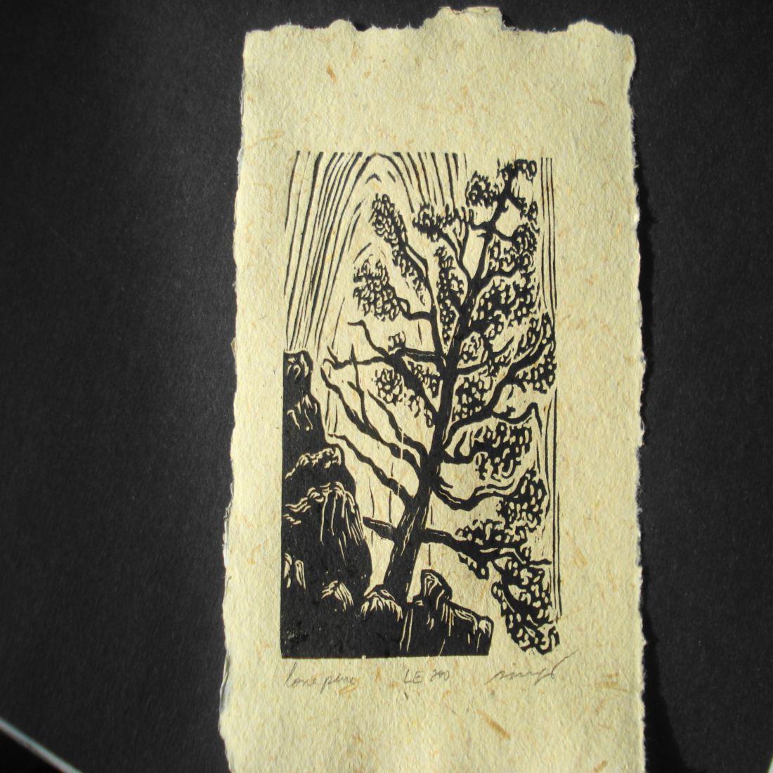Woodcut Lone Pine American Southwest (1 of 5)