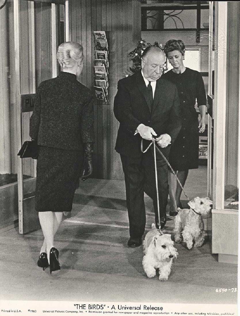 ALFRED HITCHCOCK CAMEO APPEARANCE IN THE BIRDS (1963) (1 of 2)