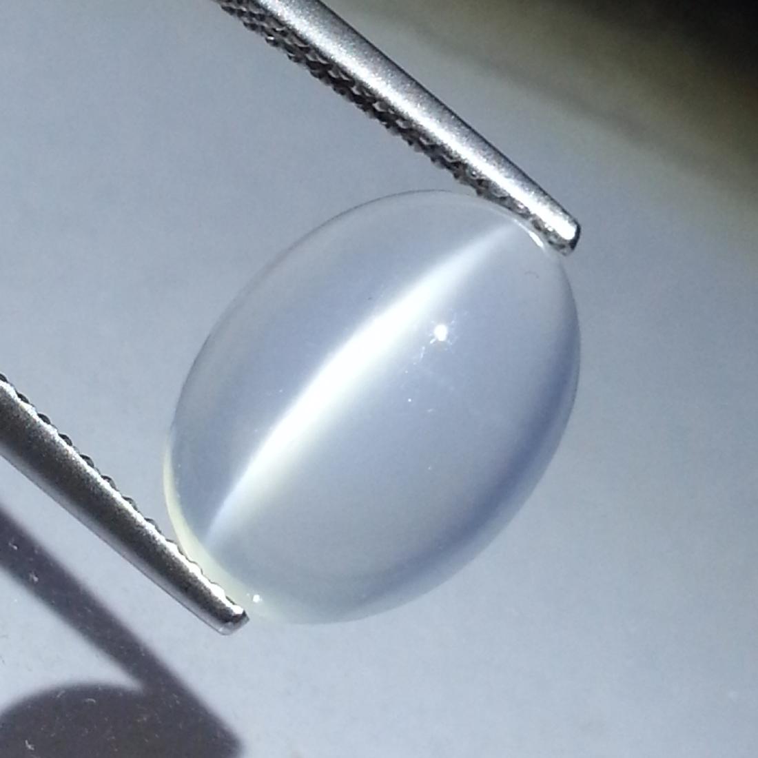 Natural Moonstone Cat's Eye- 5.10 ct: No Reserve! Item: Natural Moonstone Cat's Eye- 5.10 ct Color/Clarity: VVS Loose gemstone Carat Weight: 5.1 Size (mm): 13.54 x 10.00 x 5.40 Oval - Srilanka No Reserve: This lot starts at $1 and has no