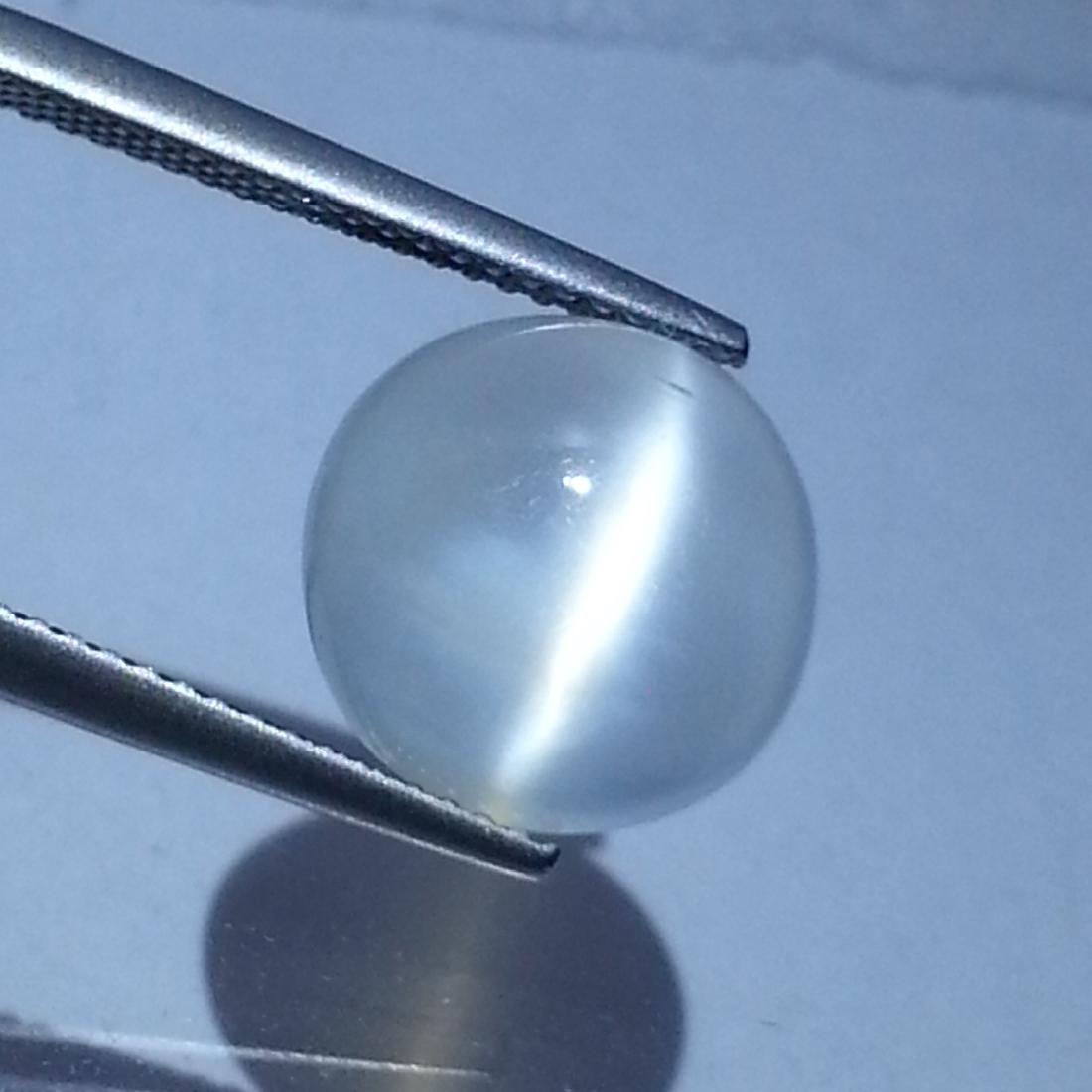 Natural Moonstone Cat's Eye- 5.40 ct: No Reserve! Item: Natural Moonstone Cat's Eye- 5.40 ct Color/Clarity: VVS Loose gemstone Carat Weight: 5.4 Size (mm): 11.67 x 11.50 x 5.49 Round - Srilanka No Reserve: This lot starts at $1 and has no