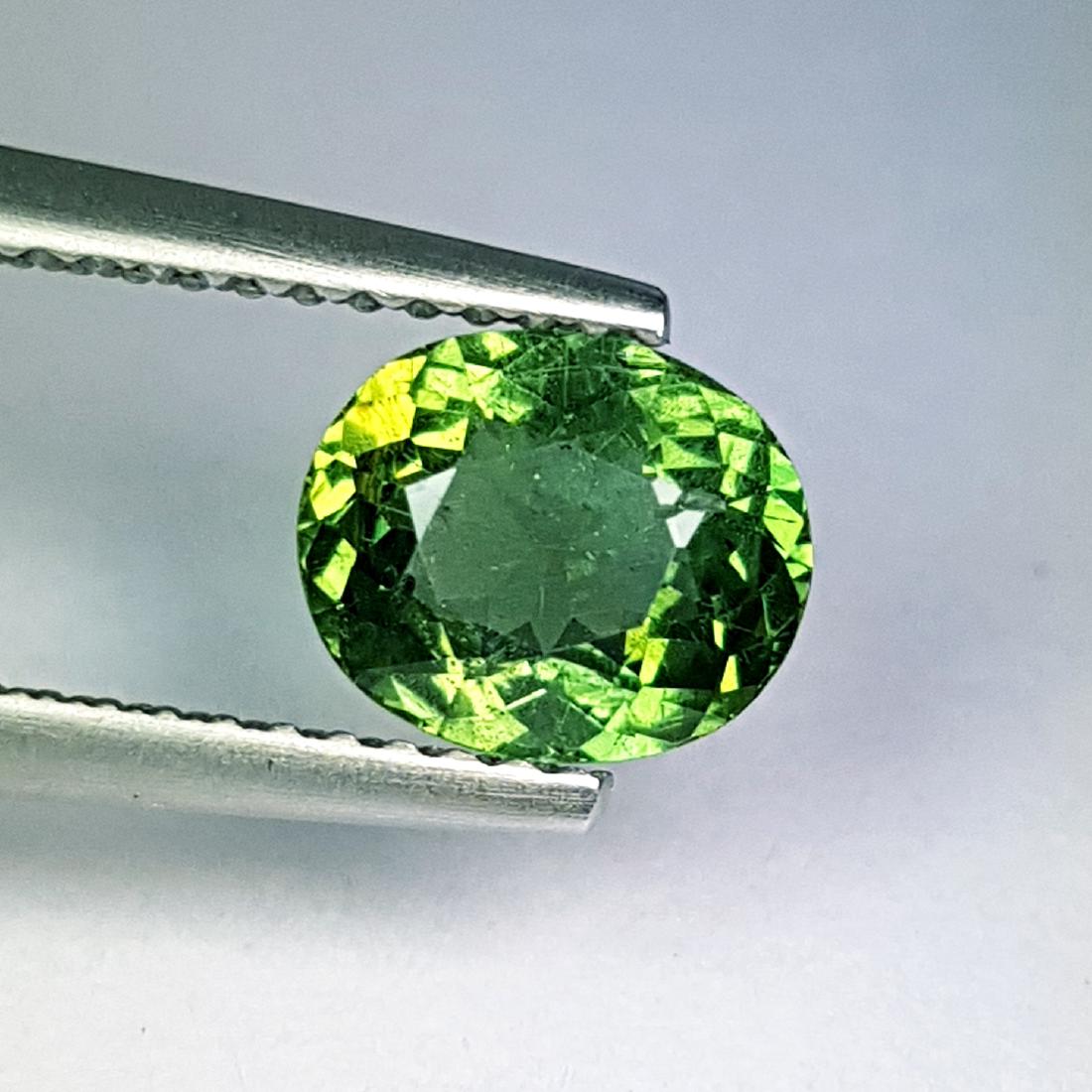 Fantastic Oval Cut Natural Apatite - 1.20 ct (1 of 4)