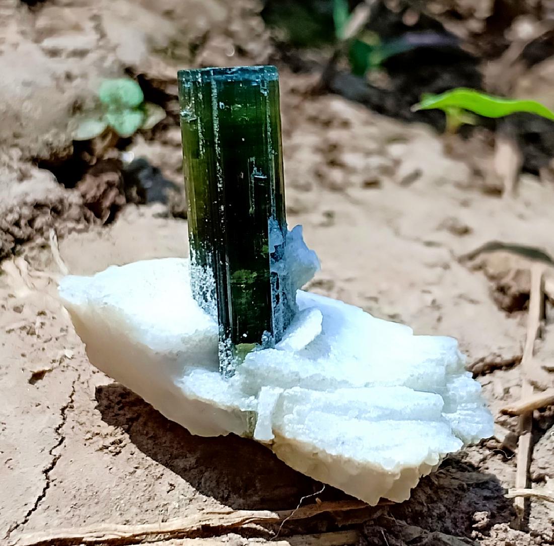 4 Gram Tourmaline With Cleavelandite Specimen (1 of 2)