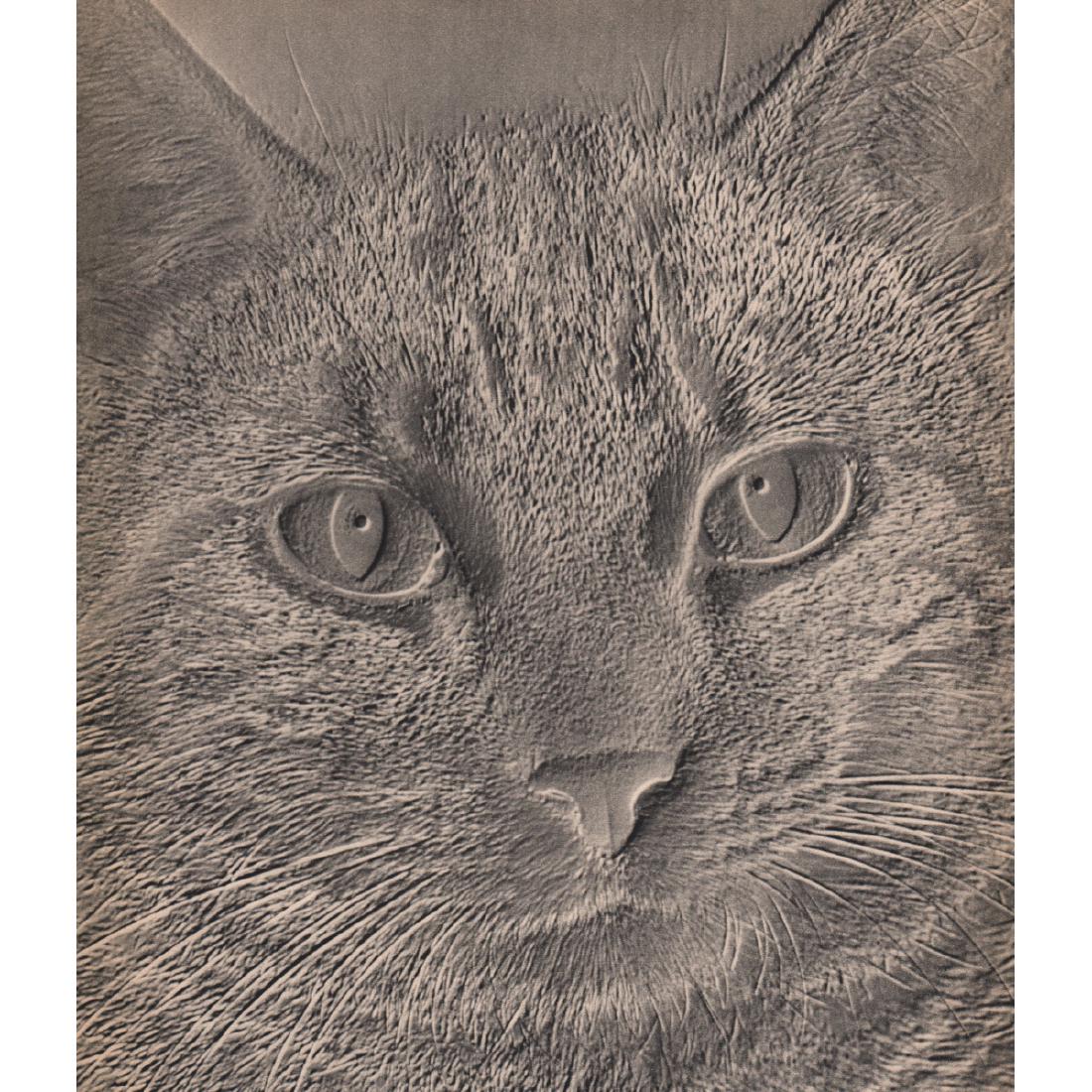 FRED G. KORTH - Tete de Chat: Artist: FRED G. KORTH Print Title: Tete de Chat Medium: Sheet-fed Gravure Printing Date: 1930' Printed in France Image Size: 8.5 X 10 inches Please note that this lot has a confidential reserve. When 