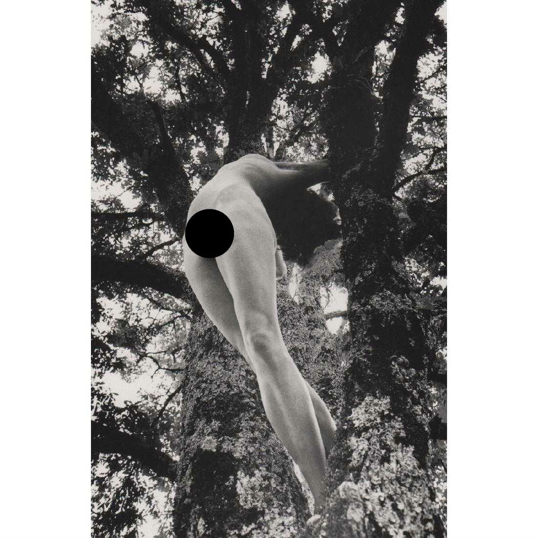 LUCIEN CLERGUE - Nude in the Woods: Artist: LUCIEN CLERGUE Print Title: Nude in the Woods, 1975 Medium: Photo-lithograph Printing Date: 1990's Printed in Germany Image Size approx: 5.5 X 8 inches Lucien Clergue (1934-2014) was a French 