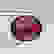 item-65809387=3