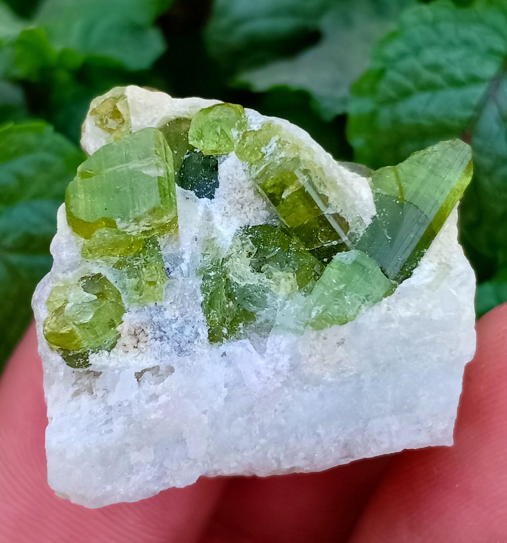 14 Gram Tourmalinne On Feldspar Specimen (1 of 3)