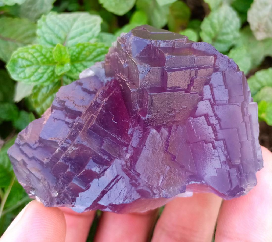 168 Gram Color Change Fluorite Specimen (1 of 4)