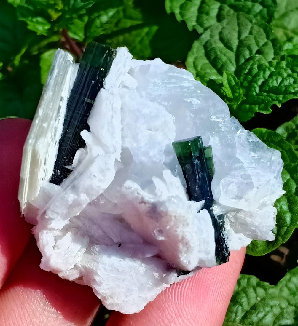 27 Gram Tourmalinne With Quartz And Mica Specimen (1 of 3)