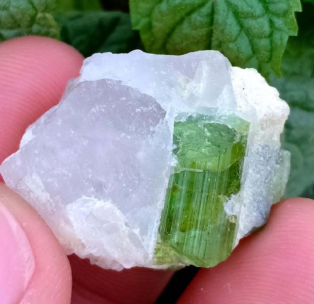 9 Gram Tourmalinne With Quartz Specimen (1 of 2)