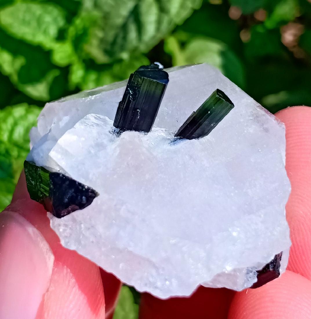 23 Gram Tourmalinne With Quartz Specimen (1 of 4)