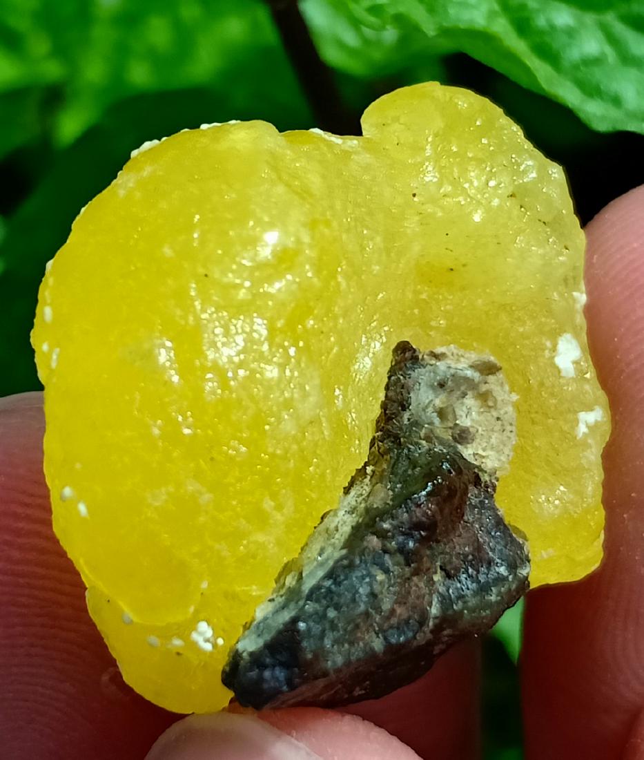 8 Gram Brucite  Specimen (1 of 6)