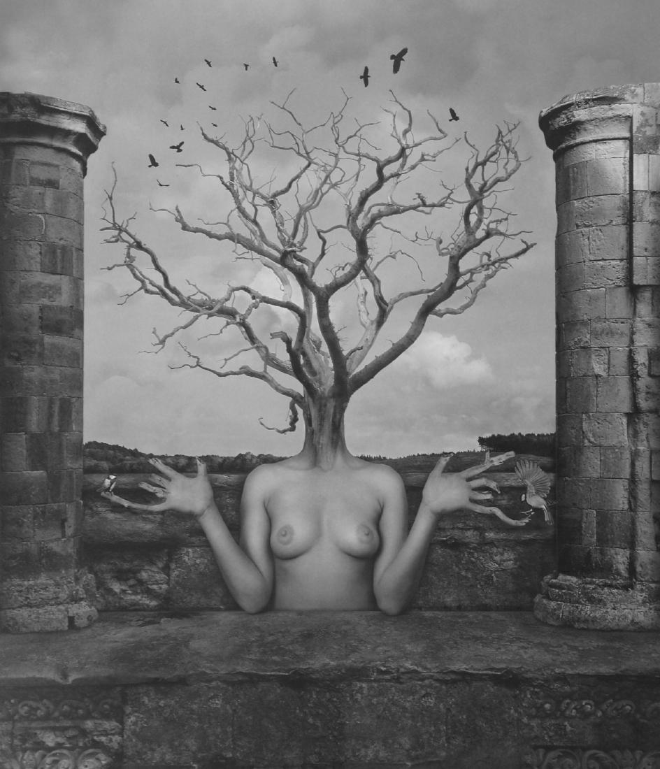 Dominic Rouse Photography Come to mother: . . . the artist, for lack of living specimens, devotes himself to constructing fantastical, grotesque creations, like those of the medieval and Renaissance illustrators who portrayed men with ostrich