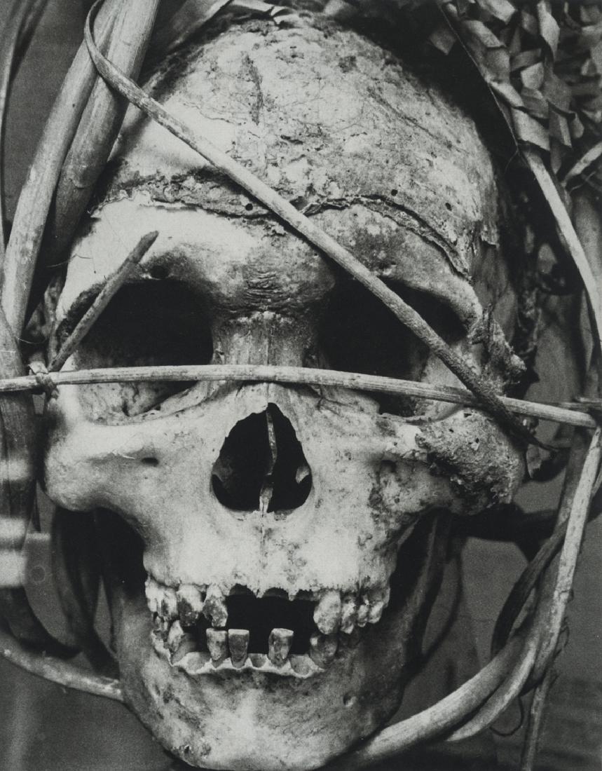 ANDREAS FEININGER - Skull: Artist: Andreas Feininger Title: Skull Medium: Duotone Photo Litho, 1973, USA Dimensions: 7x8.95" Heat Wax Mounted on 11x14" Conservation Board Andreas Feininger (1906 - 1999) was a Paris-born America