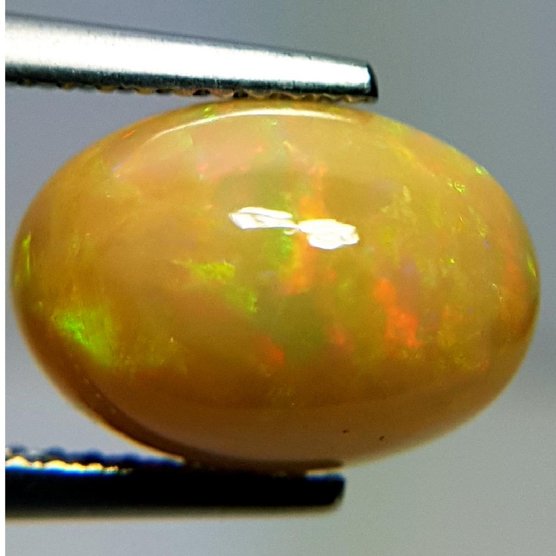 Collective Fire Oval Cabochon Natural Opal  - 2.93 ct (1 of 10)