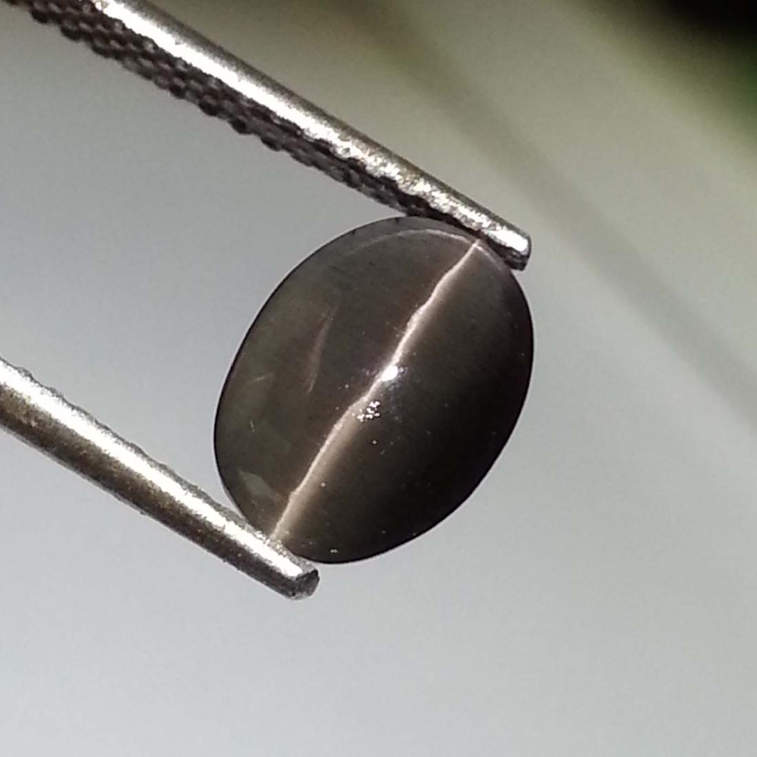 Top Quality Sillimanite Cat's Eye - 1.94 ct: Item: Top Quality Sillimanite Cat's Eye - 1.94 ct Loose Gemstone: Sillimanite Color/Clarity: Semi -Transparent Carat Weight: 1.94 Size (mm): 8.10 x 6.05 x 4.40 Oval - Africa No Reserve: This lot start