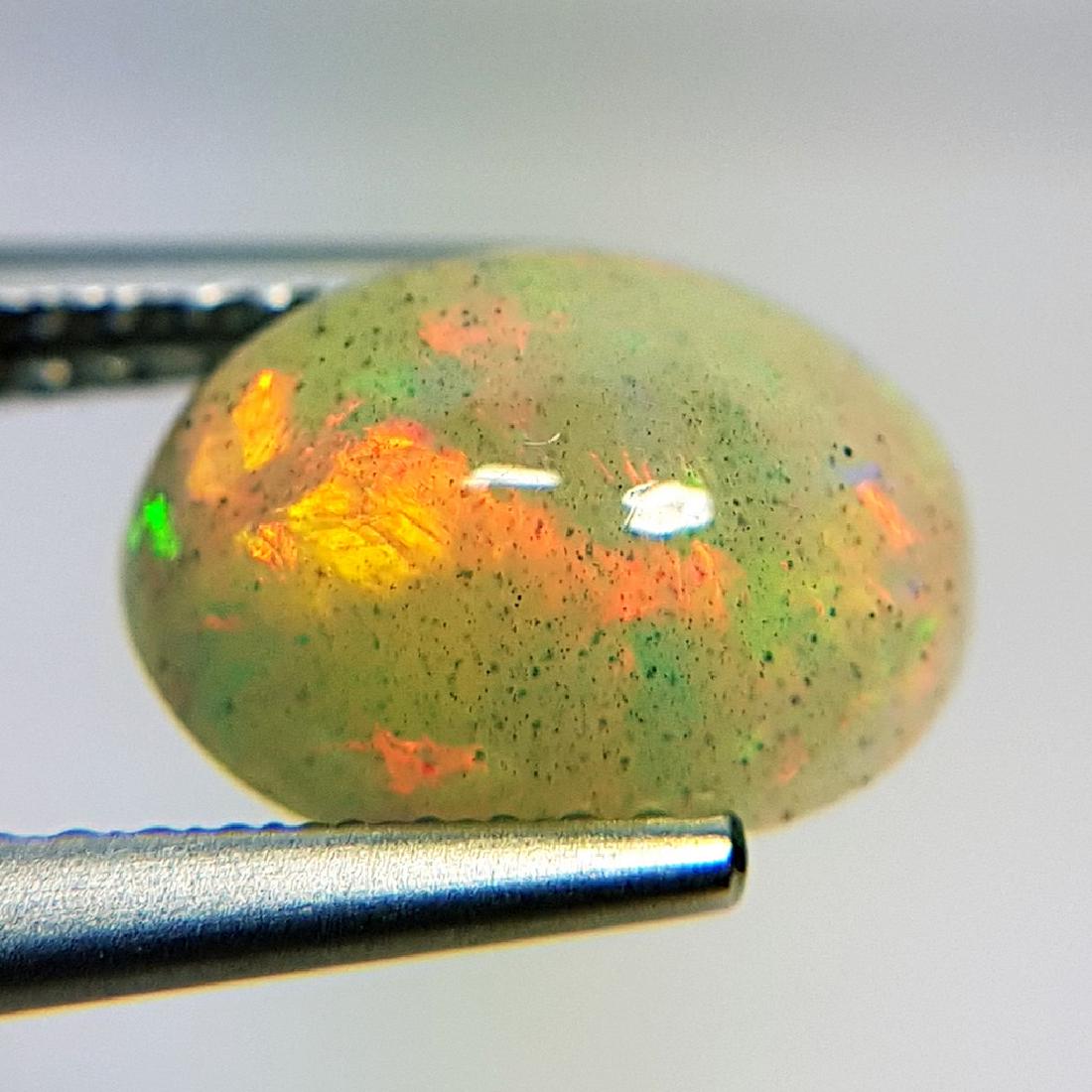 Fantastic Fire Oval Cabochon Natural Opal  - 1.89 ct (1 of 8)