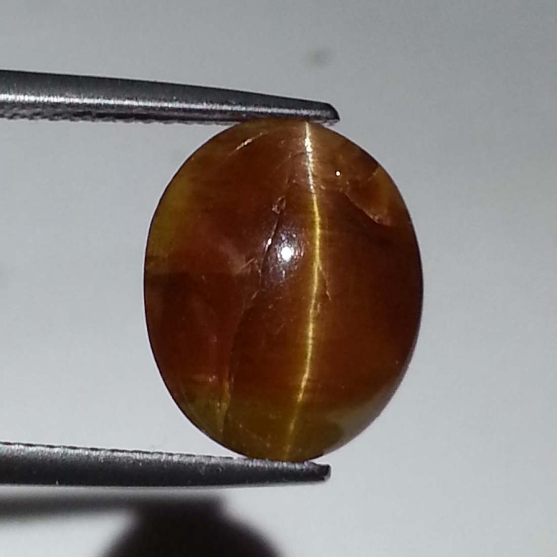 Top Quality Glowing Honey Natural Apatite cat's Eye -: Item: Top Quality Glowing Honey Natural Apatite cat's Eye - 6.98 ct Loose Gemstone: Apatite Color/Clarity: Opaque Carat Weight: 6.98 Size (mm): 11.85 x 8.70 x 7.70 Oval - Africa No Reserve: This lot s