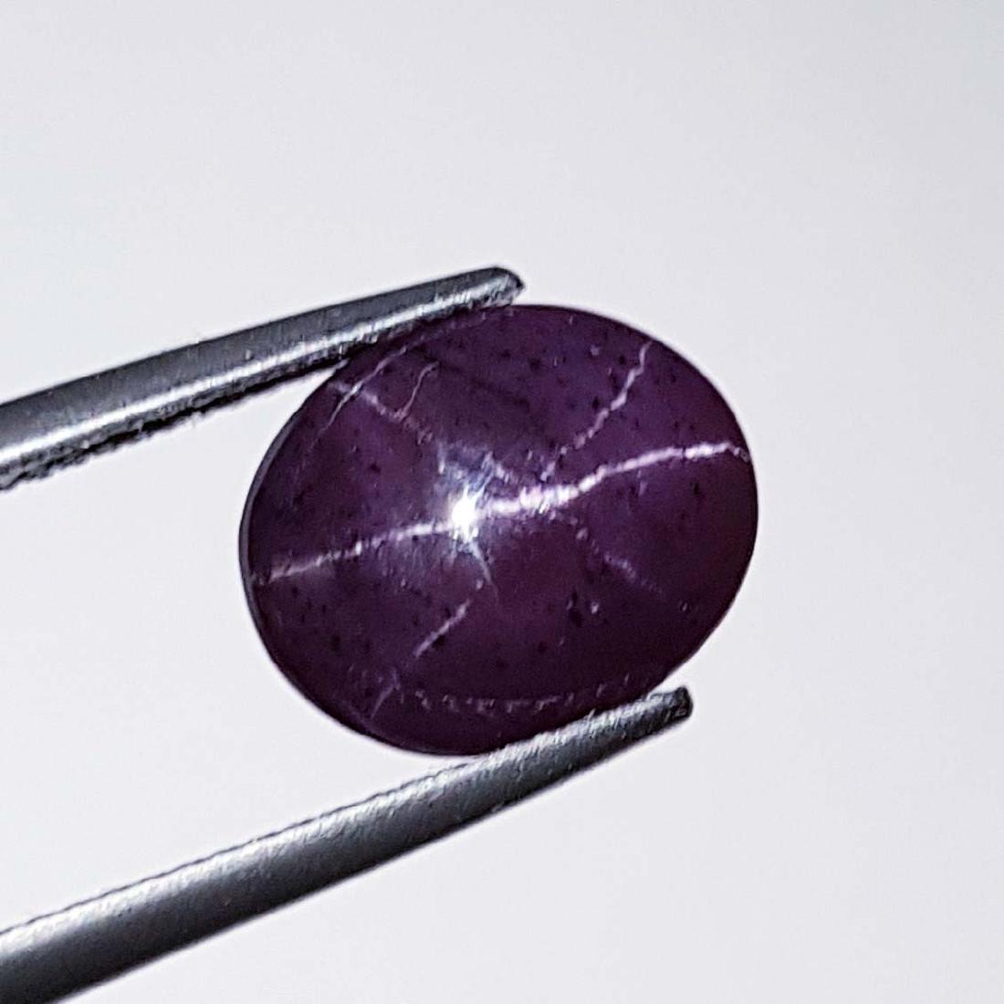 Top Quality Six Ray Star Garnet - 10.80 ct (1 of 4)