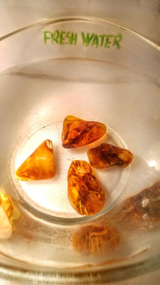 100% genuine Baltic amber pendants - 7