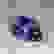 item-66154496=3