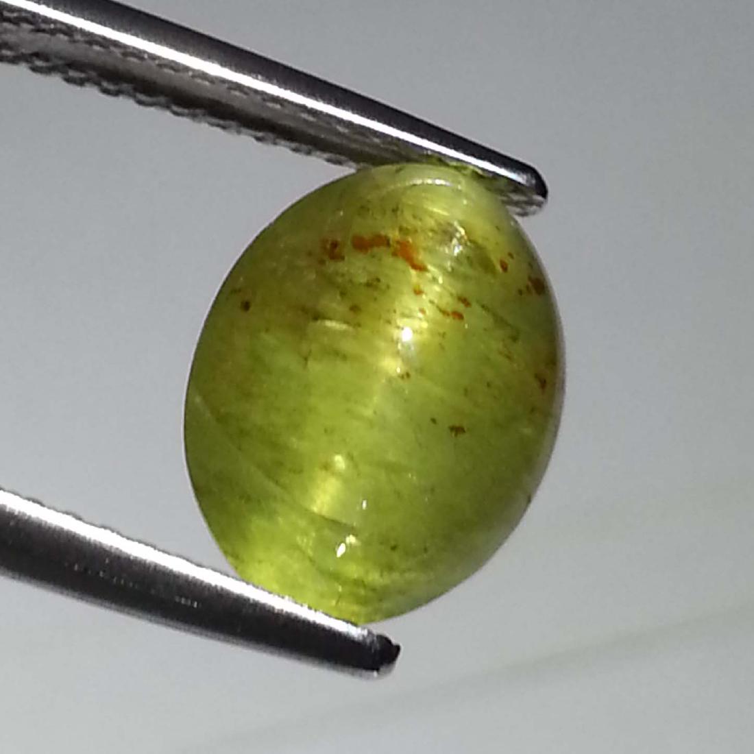 Excellent Natural Apatite cat's Eye - 10.26 ct: No Reserve! Item: Excellent Natural Apatite cat's Eye - 10.26 ct Color/Clarity: Semi -Transparent Loose gemstone Carat Weight: 10.26 Size (mm): 14.50 x 11.18 x 8.05 Oval - Jharkhand Shipping: Worldwid