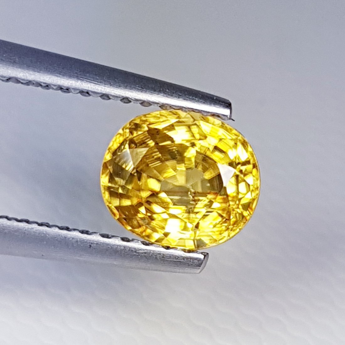 Natural Golden Yellow Zircon - 1.68 ct: No Reserve! Item: Natural Golden Yellow Zircon - 1.68 ct Color/Clarity: VVS Loose gemstone Carat Weight: 1.68 Size (mm): 6.75 x 5.80 x 4.12 Oval - Cambodia Shipping: Worldwide: Flat-rate of $10.00 to 