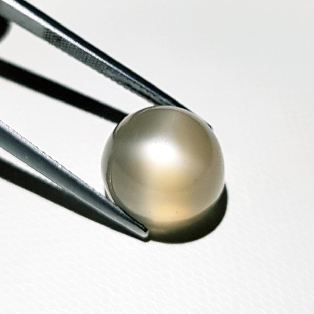 Beautiful Grey Star Moonstone - 13.98 ct: No Reserve! Item: Beautiful Grey Star Moonstone - 13.98 ct Color/Clarity: VVS Loose gemstone Carat Weight: 13.98 Size (mm): 13.40 x 12.50 x 10.89 Round - India Shipping: Worldwide: Flat-rate of $10.00