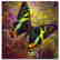 "Amazing Grace" Limited Edition Giclee on Canvas by