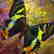"Amazing Grace" Limited Edition Giclee on Canvas by - 2